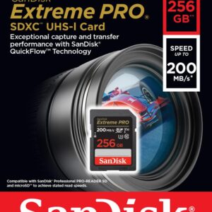 SanDisk 256GB Extreme PRO SDXC UHS-I Memory Card – C10, U3, V30, 4K UHD, SD Card – SDSDXXD-256G-GN4IN, Dark gray/Black