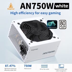 Segotep AN750W White Iceberg Edition 750W 80 PLUS PSU With 87.47% Efficiency, Active PFC, 120mm Hydraulic Bearing Fan, Flat White Cables & Smart Temp Control 