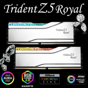 G.SKILL Trident Z5 Royal 96GB RAM Kit (2x48GB) DDR5-6400 CL32 1.10V , Extreme Overclock Performance, Intel XMP 3.0 Ready / AMD EXPO Compatible , Crystalline RGB Light Bar, Electroplated Aluminum Heatspreaders | SILVER ~ F5-6400J3239F48GX2-TR5S