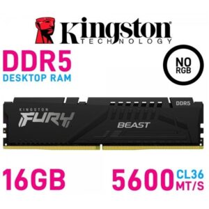Kingston FURY Beast DDR5 16GB 5600MT/s CL36 Desktop Memory Module with Heatsink, EXPO & Intel XMP 3.0 Support, 1.25V Low-Latency Performance – KF556C36BBE-16
